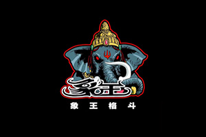 青島中凱天佑搏擊俱樂部